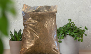 Organic Compost - 1 Gallon
